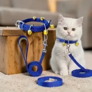 Pet Fantasy Nylon Cat Collar and Leash Set – Blue ( default, Standard )