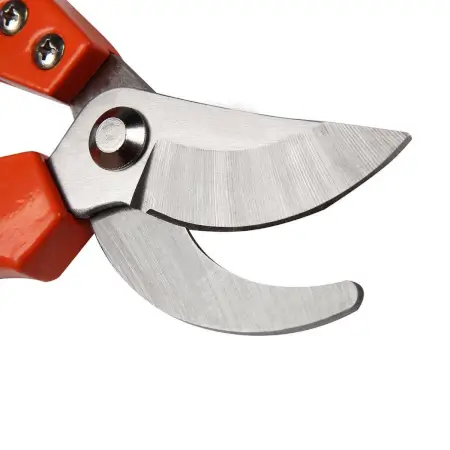eDU0qyXQXvNqOC5bdiwjYiuIqLICl3cgHzuSP6jL.webp Stainless Steel Pruning Shears - Ergonomic Garden Cutter with Rubber Grip ( default, Standard ).